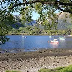 Roe Deer Cottage Near Glencoe