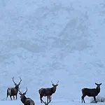Ben Nevis Manor Lodge & Indoor Private Hot-Tub