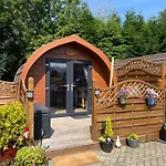 Conifer Cabins