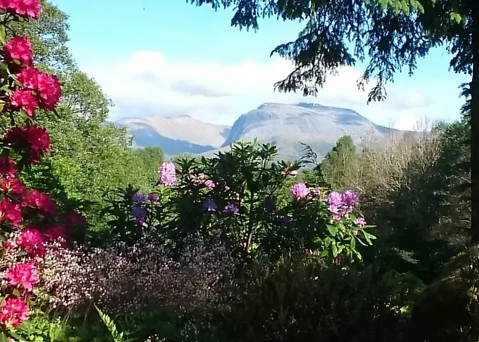Tom Beag - Ben Nevis View Rooms