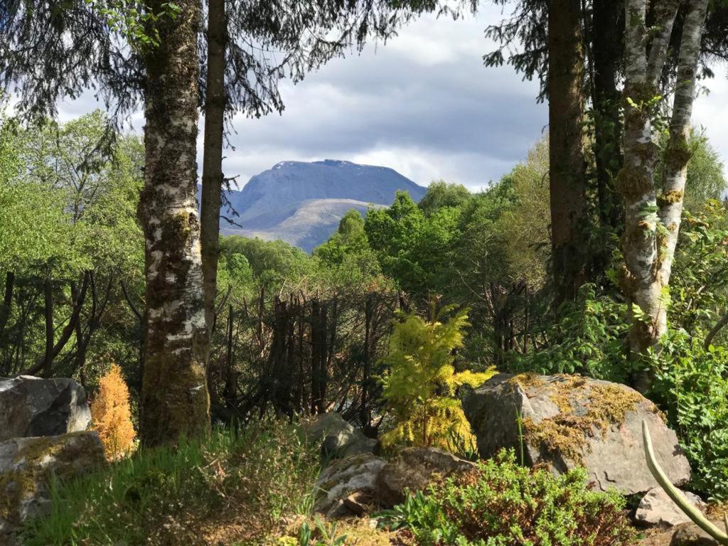 Tom Beag - Ben Nevis View *