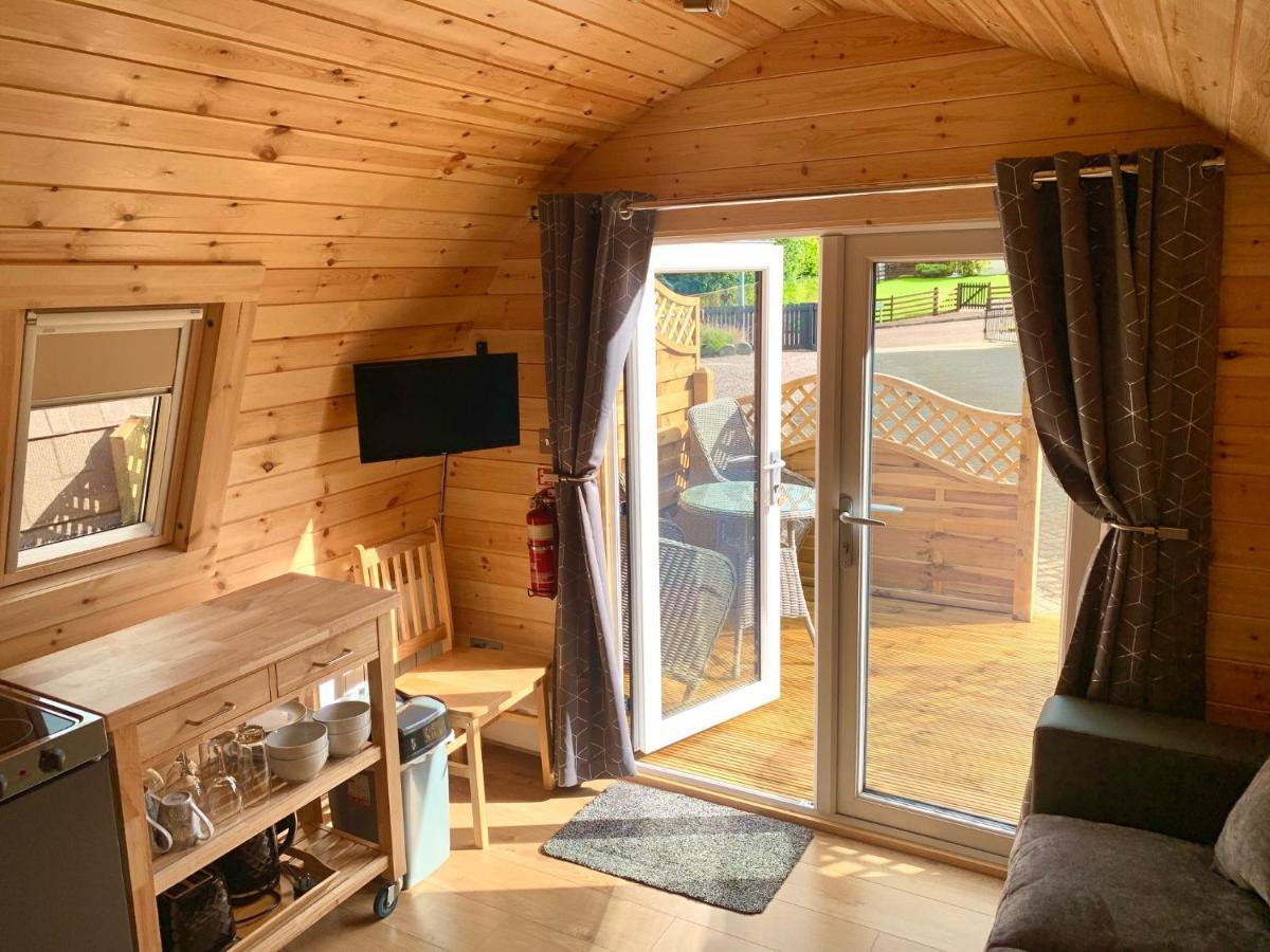 Conifer Apartment