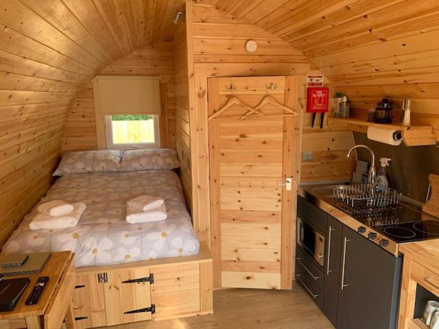 Conifer * Fort William