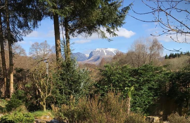 Tom Beag - Ben Nevis View *