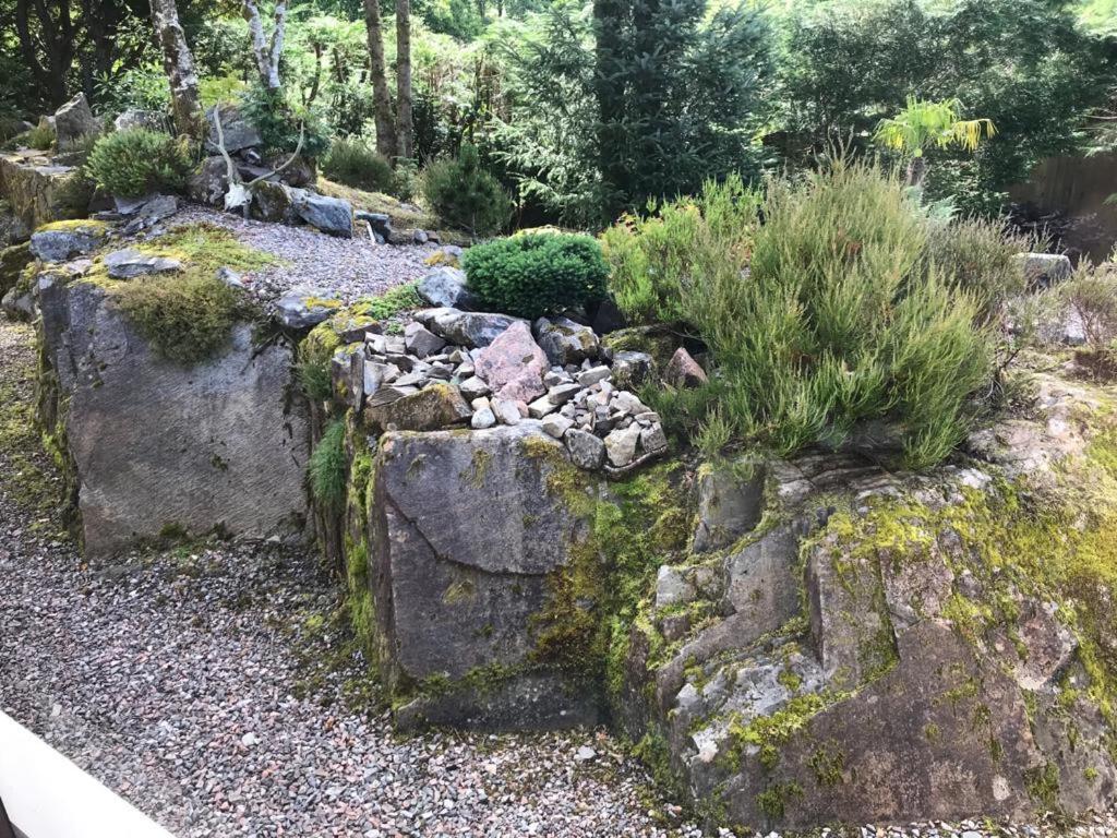 Tom Beag - Ben Nevis View * Fort William