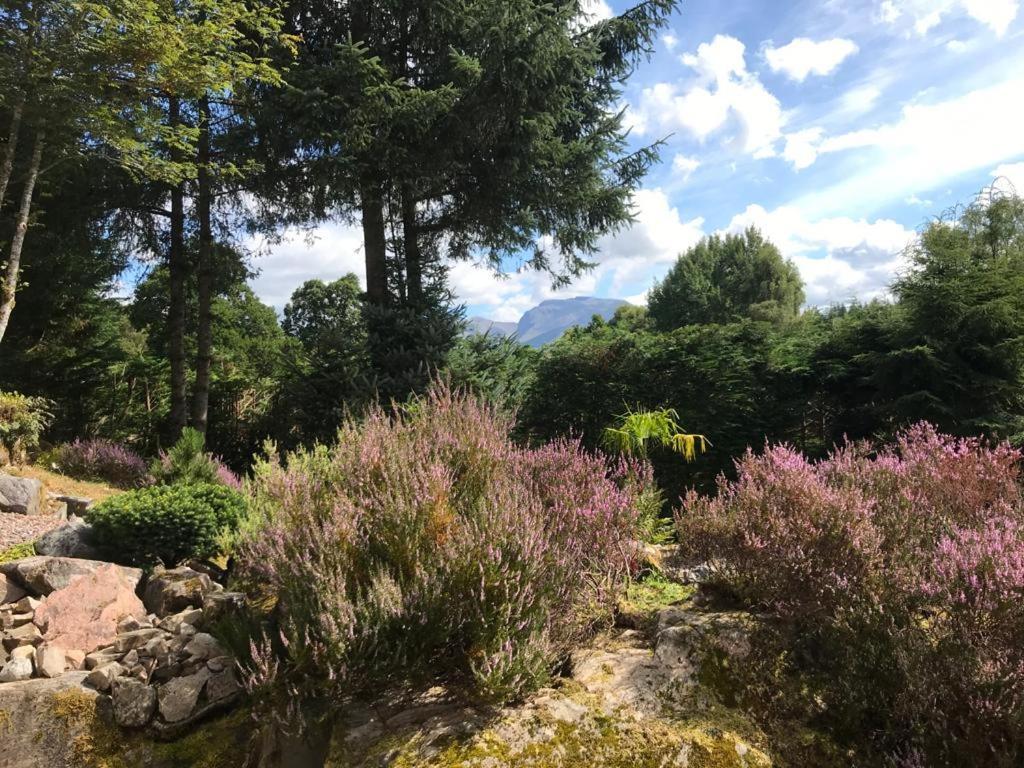 Guest house Tom Beag - Ben Nevis View *