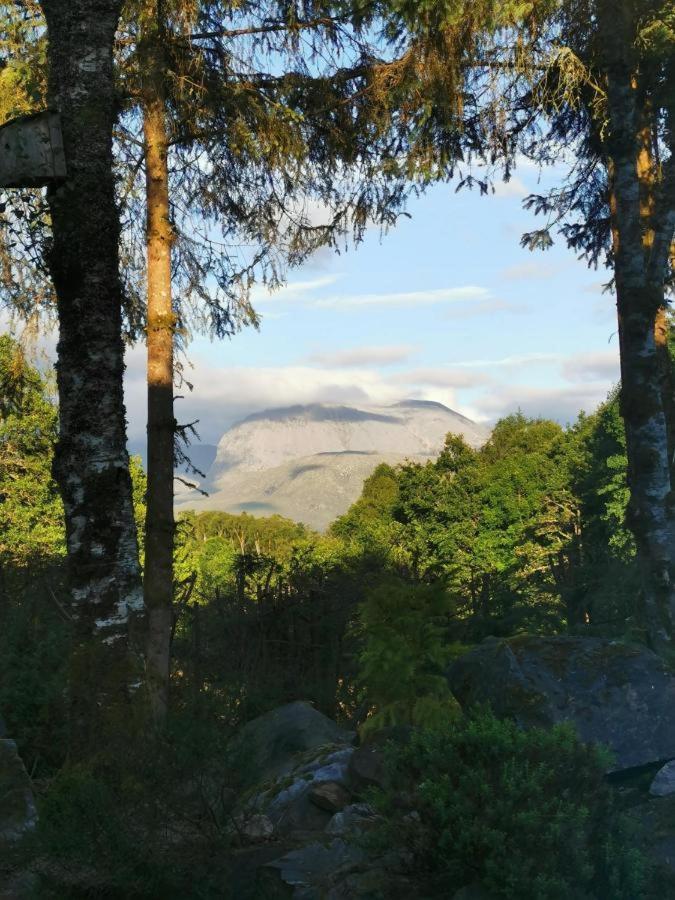 Guest house Tom Beag - Ben Nevis View *