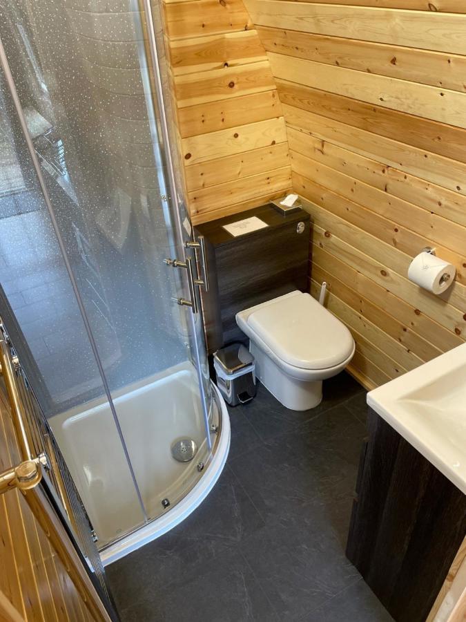 Conifer Apartment