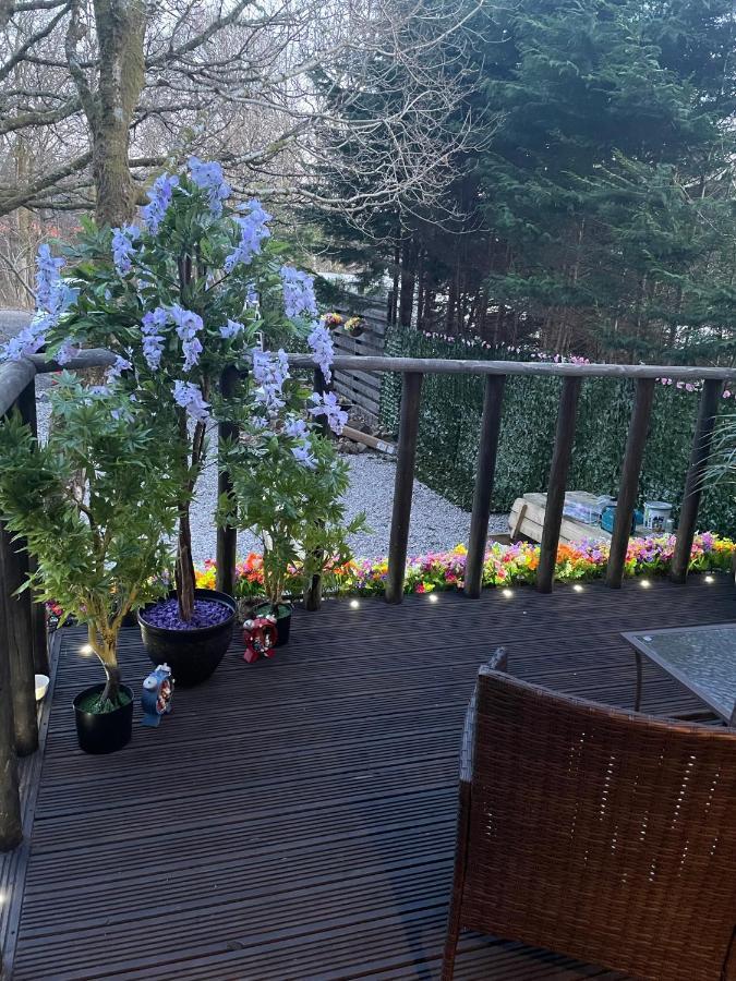 Chalet Bluebell