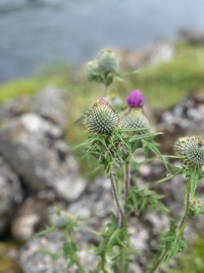 Whinburn * Fort William