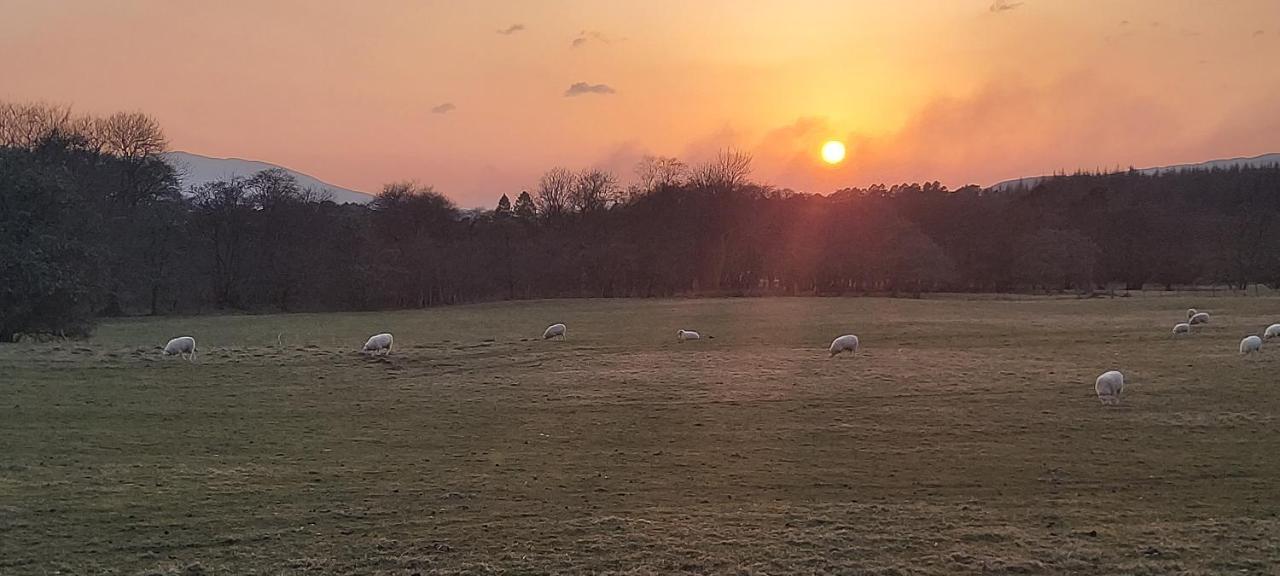Holiday home Field At Ardenvale Self Catering *