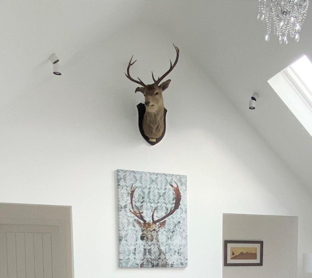 Ben Nevis Scotland Highlands, Camden House Luxury Fort William