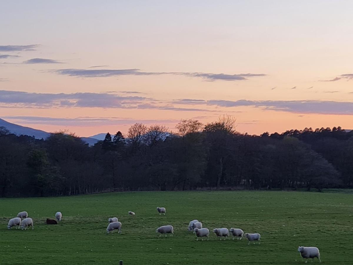 Apartment North Face Dwelling At Ardenvale Self Catering