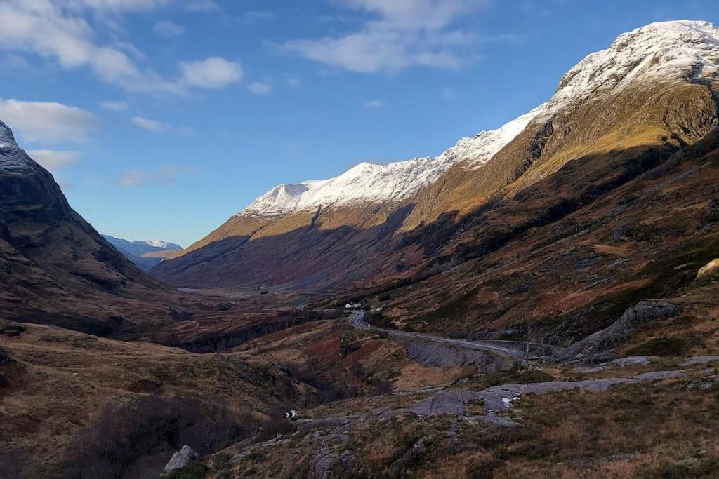 Roe Deer Near Glencoe *