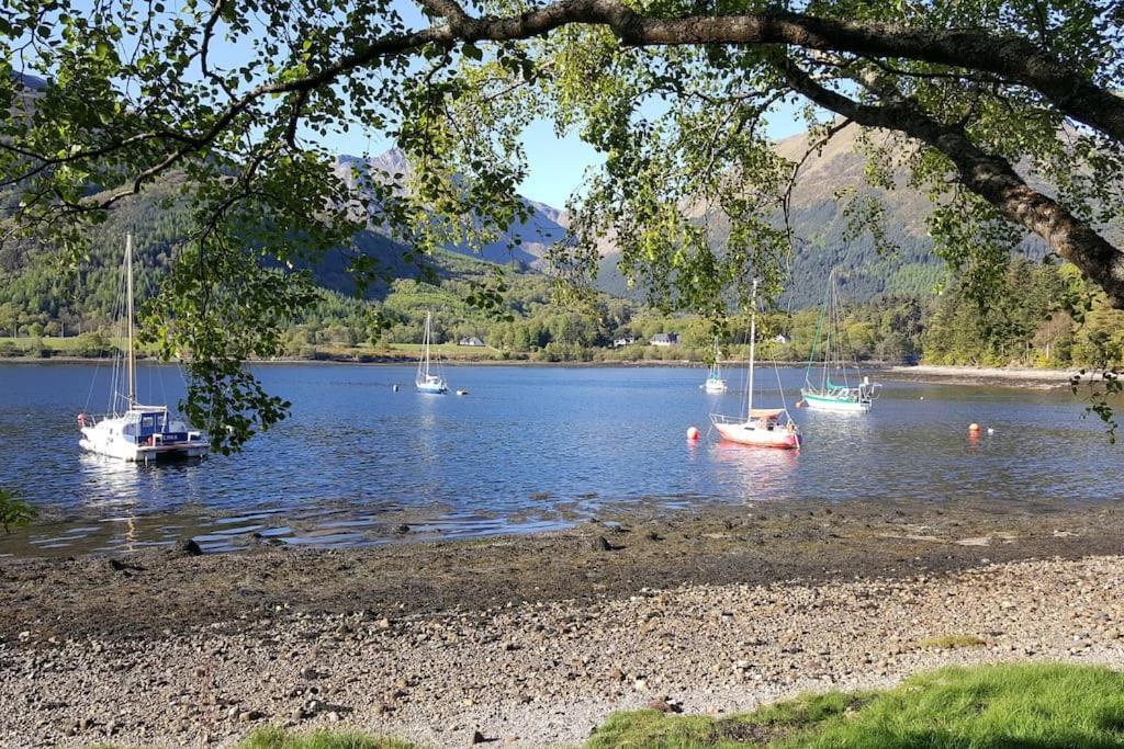 Apartment Roe Deer Near Glencoe Fort William