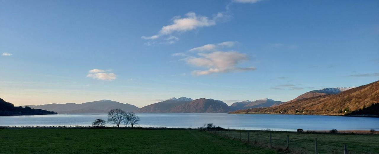 Roe Deer Near Glencoe Apartment