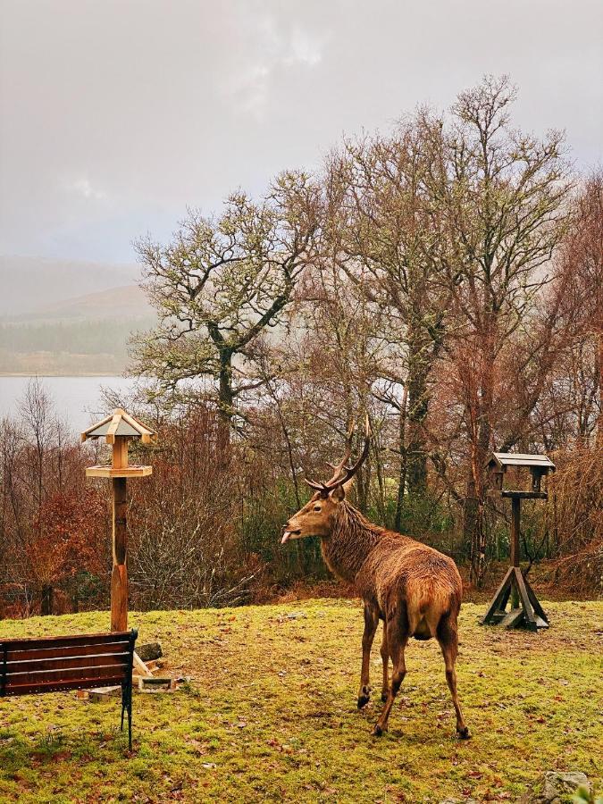 Holiday home Tarmachan - West Highland Getaway