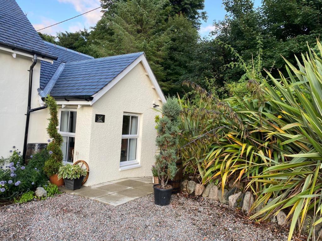 Buccleuch Garden Homestay