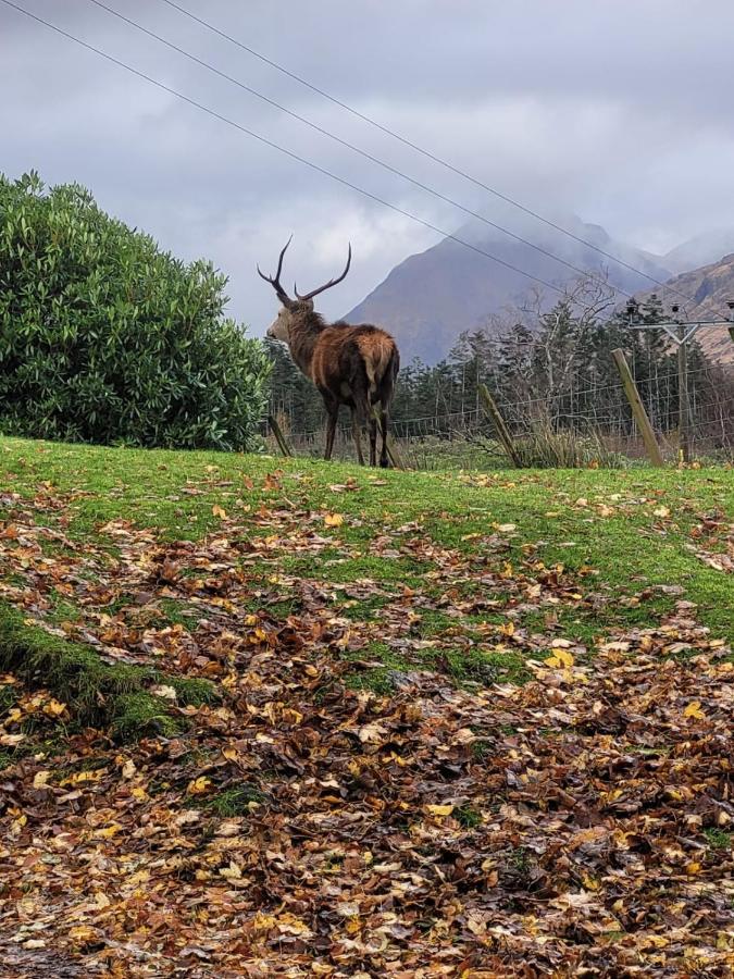 Holiday home Ormasaig, Self Catering, One Mile To Town & Close To Ben Nevis Fort William