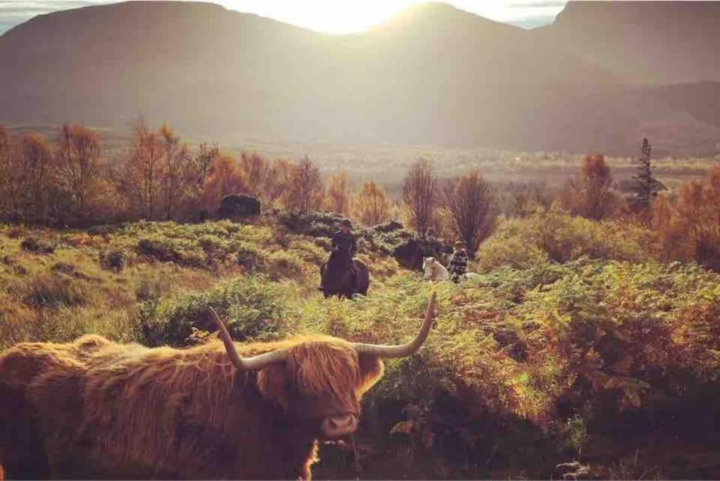 Holiday home Wild Nurture Eco Luxury Offgrid Log *