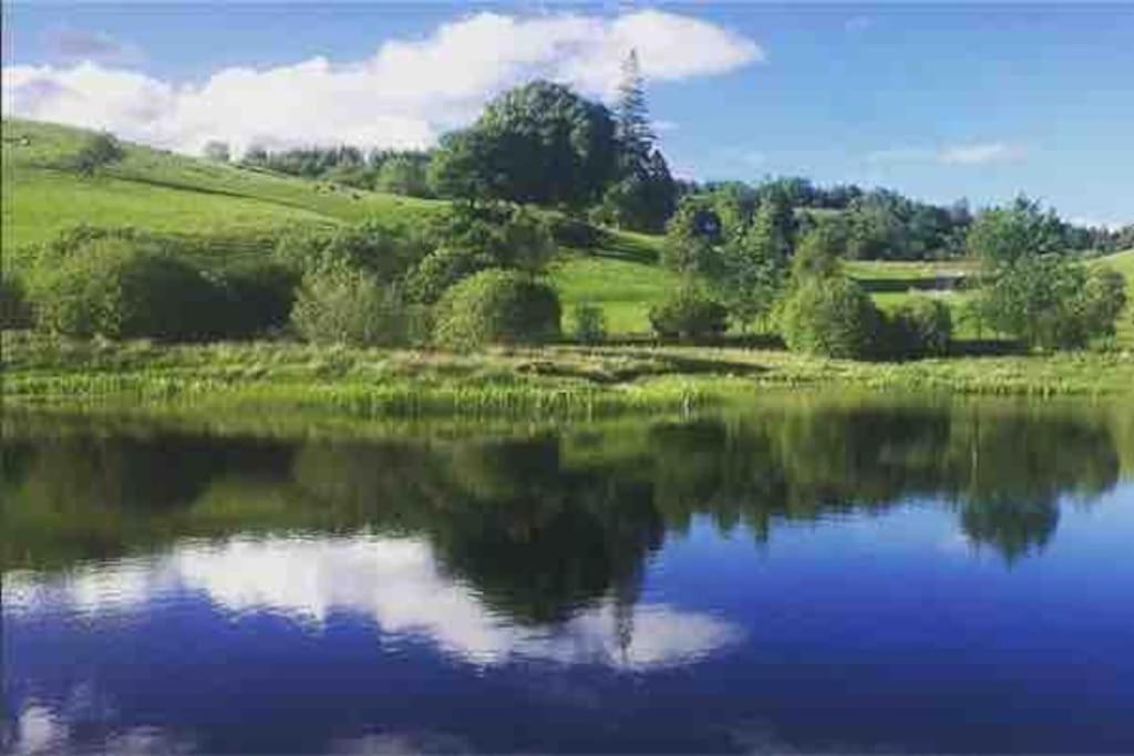 Wild Nurture Eco Luxury Offgrid Log * Fort William