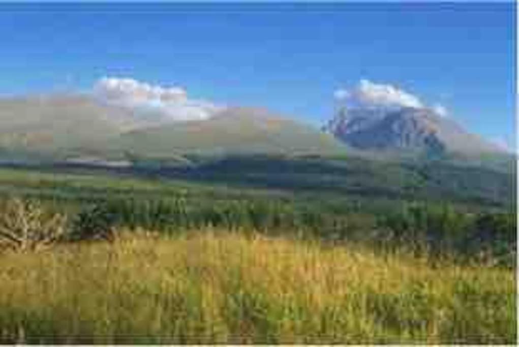 Holiday home Wild Nurture Eco Luxury Offgrid Log *