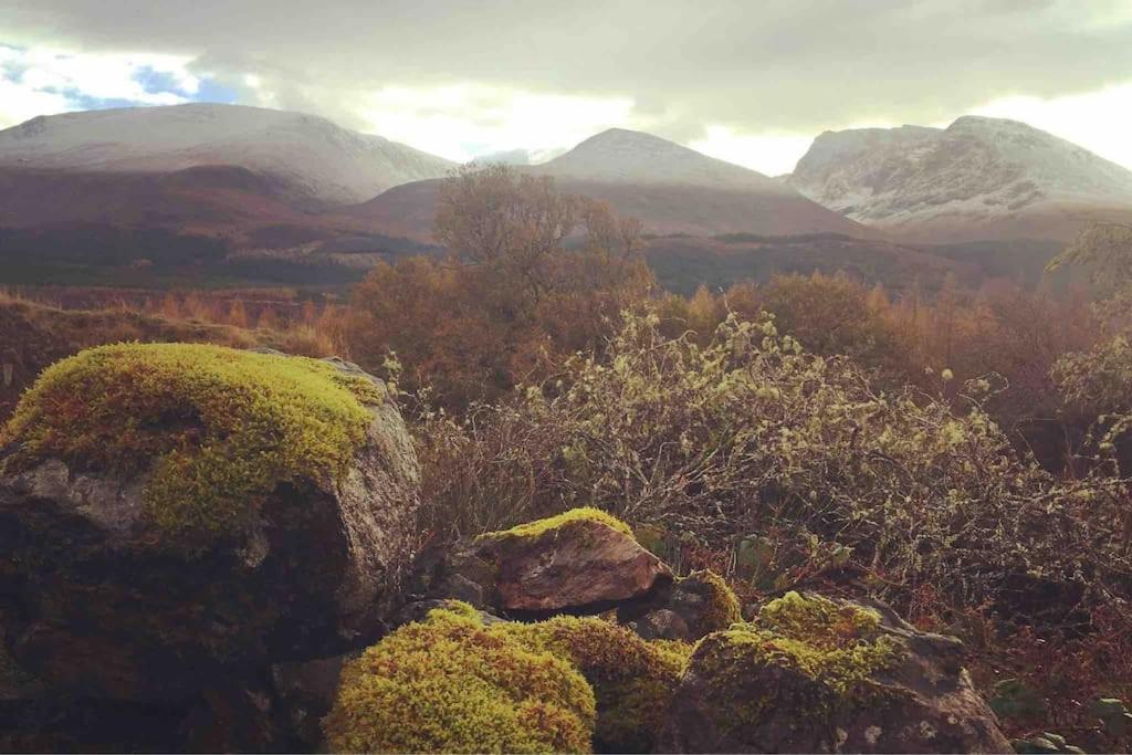 Wild Nurture Eco Luxury Offgrid Log *