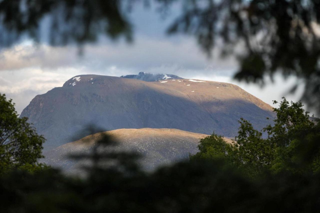 Tom Beag - Ben Nevis View Fort William