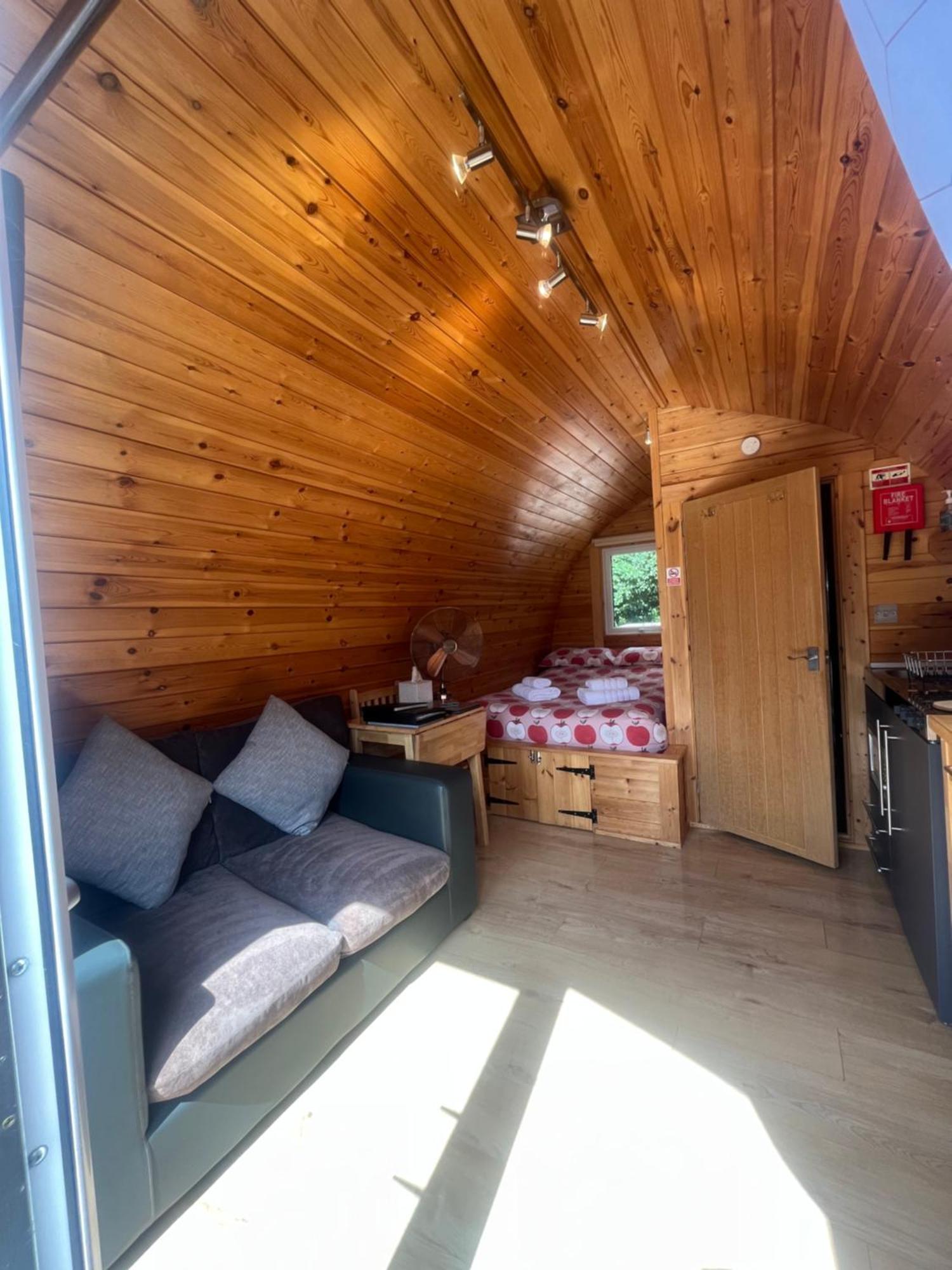 Conifer * Fort William