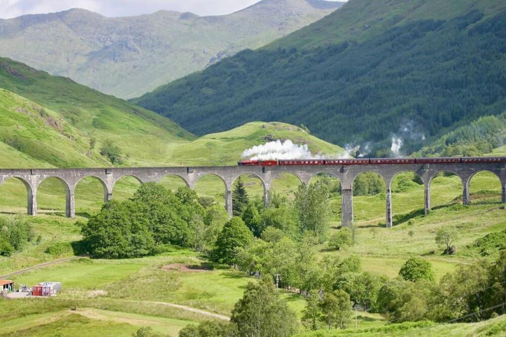 William - Highland *