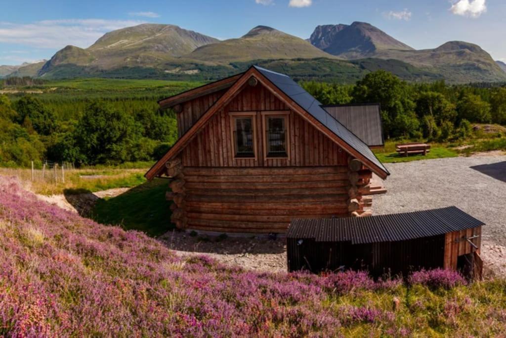 Wild Nurture Eco Luxury Offgrid Log Holiday home *