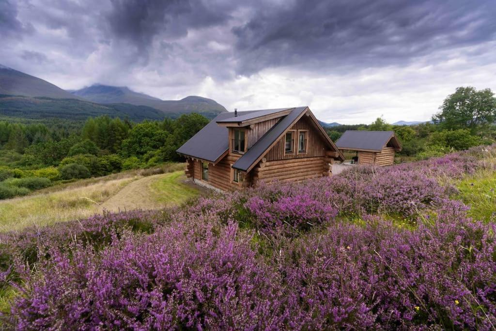 Wild Nurture Eco Luxury Offgrid Log