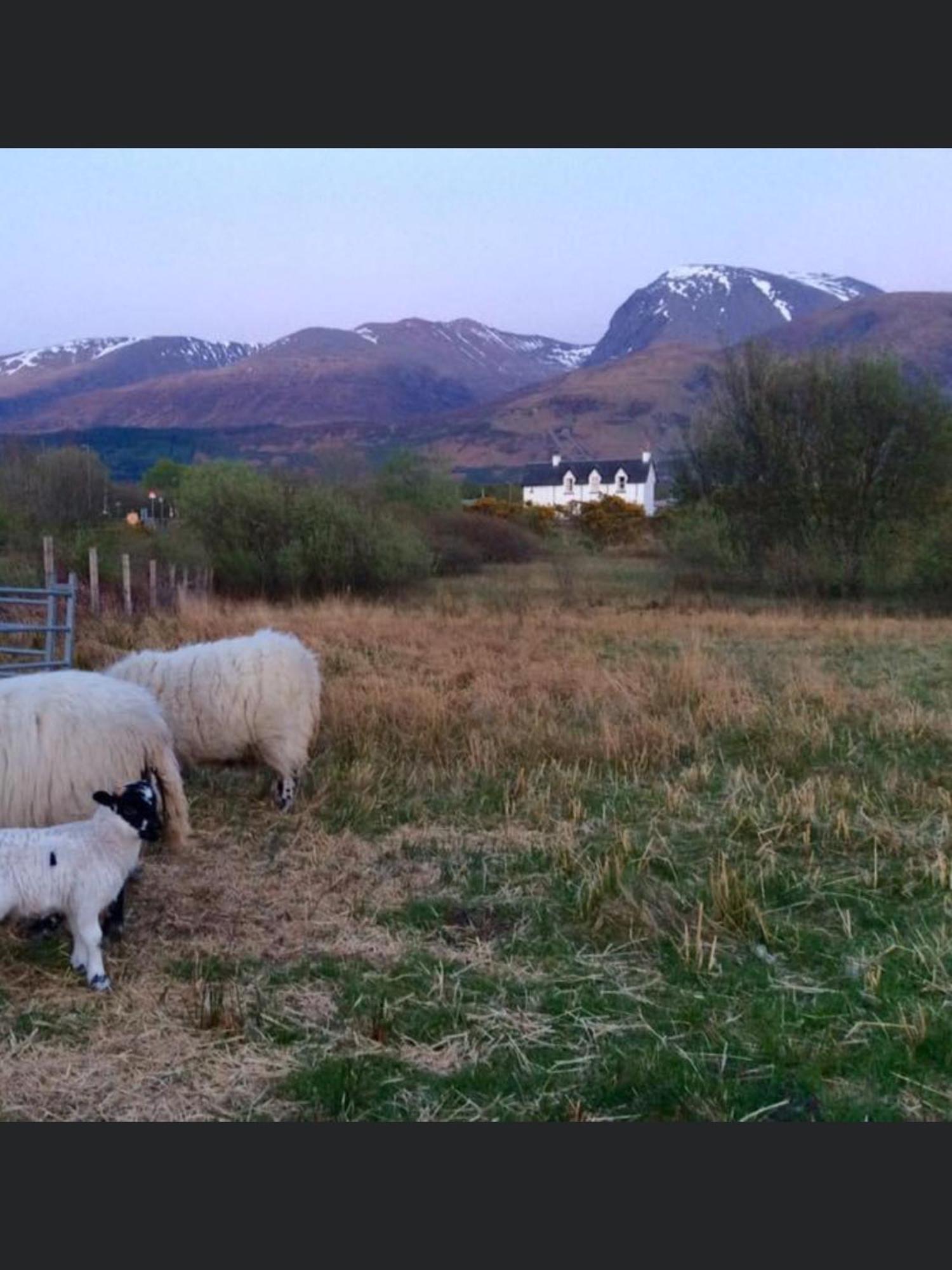 The Shielings By Inverlochy Chalet Fort William