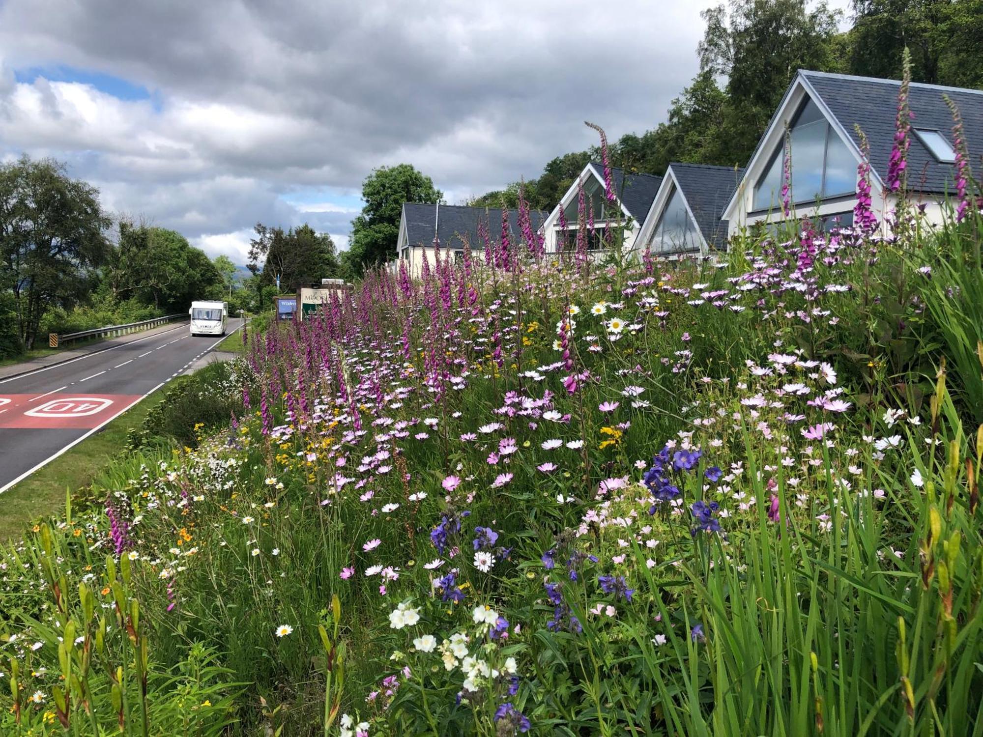 The Moorings Holiday home