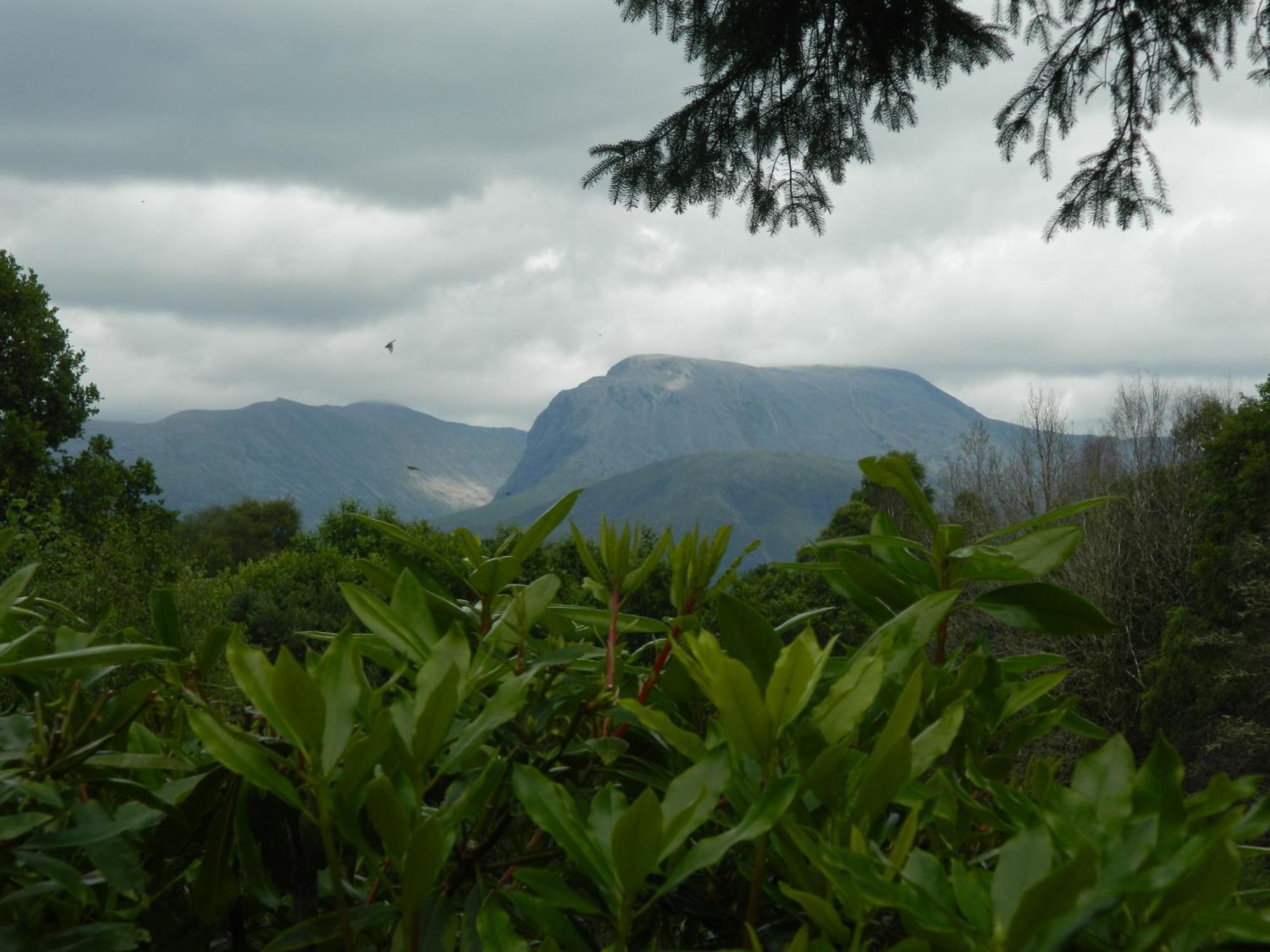 Tom Beag - Ben Nevis View * Fort William