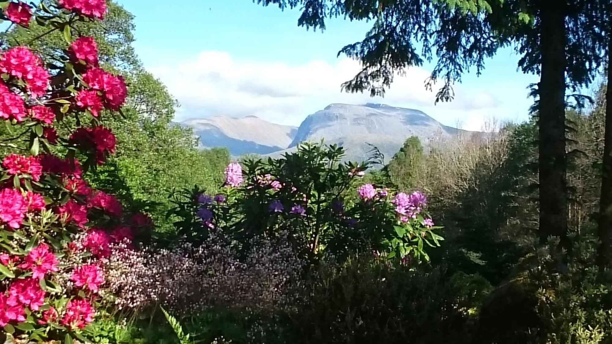 Guest house Tom Beag - Ben Nevis View
