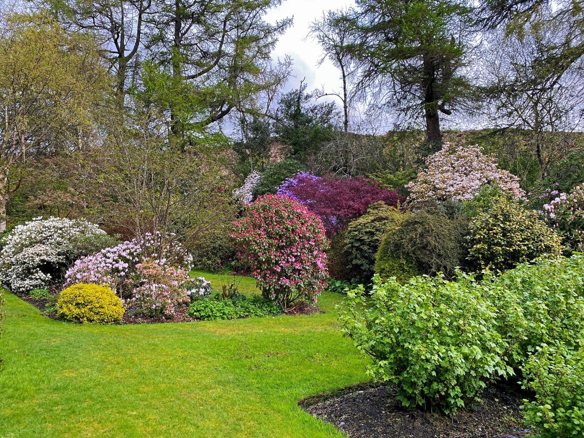 The Garden Flat *