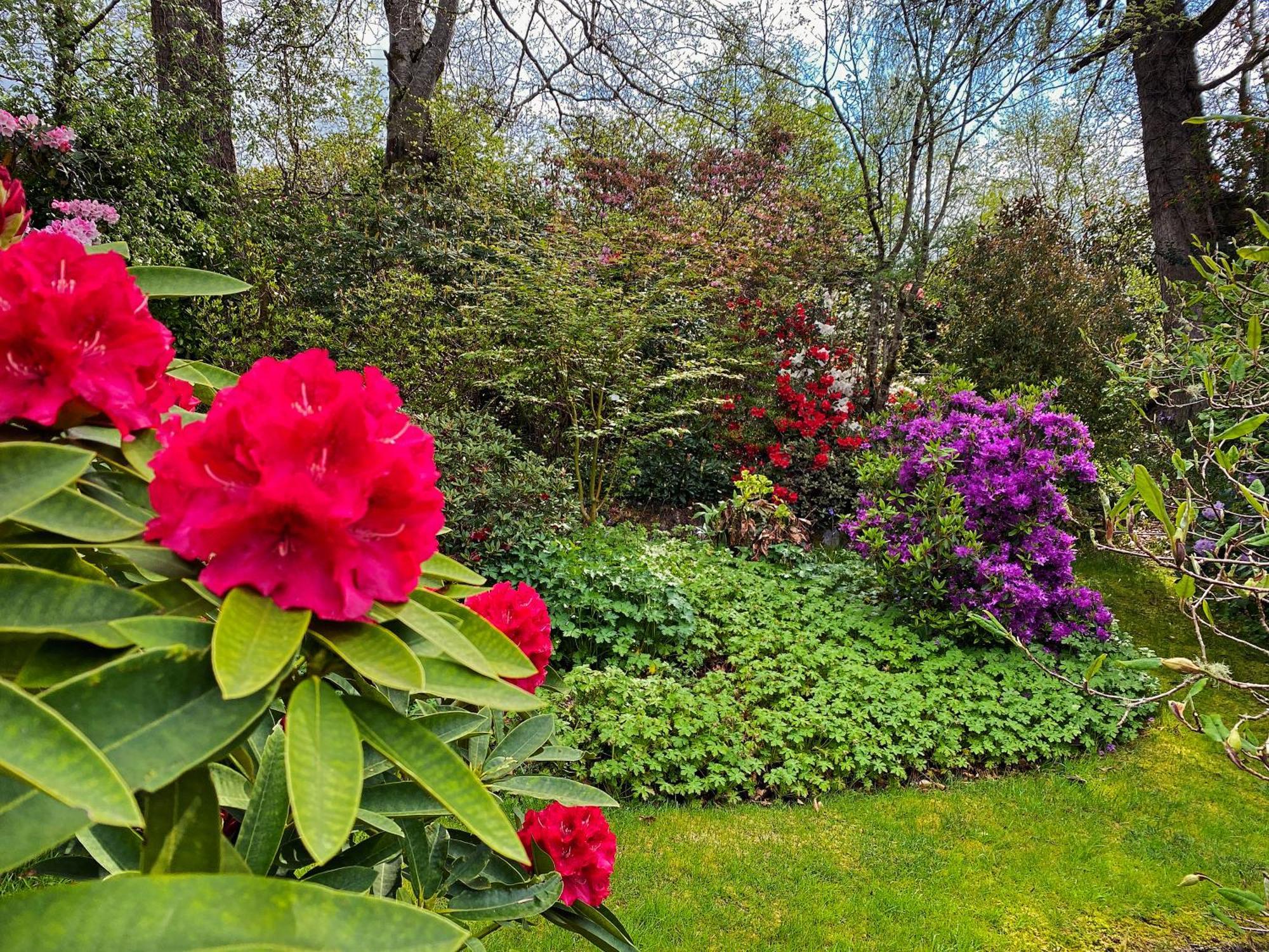 The Garden Flat Apartment *