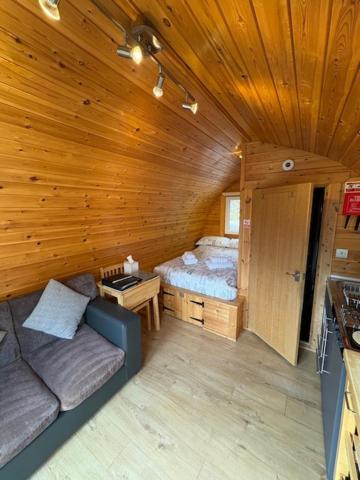 Conifer Apartment Fort William
