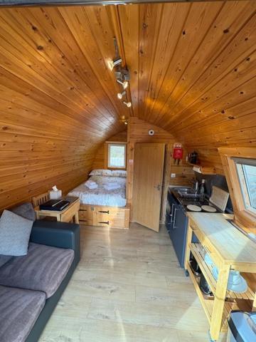 Conifer Fort William
