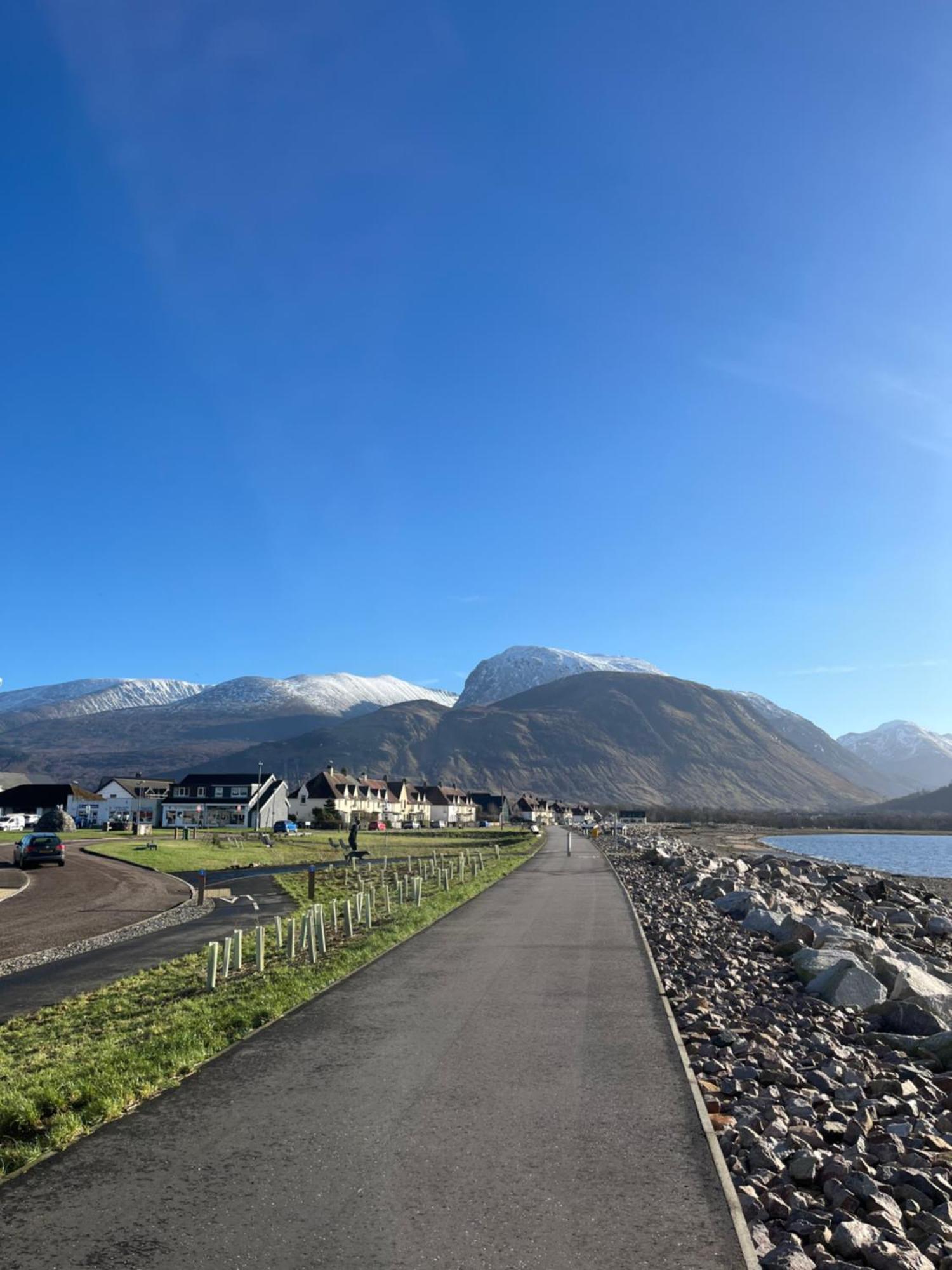 Conifer * Fort William