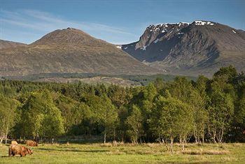 Nevis Bank