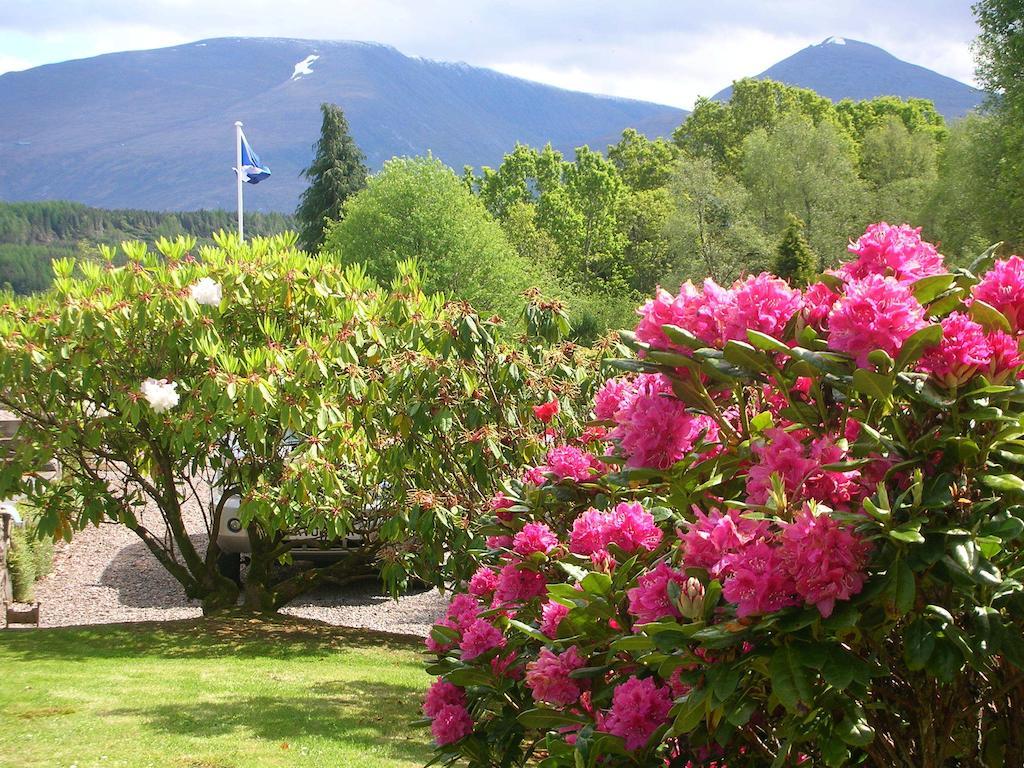 Bed & Breakfast Torbeag House *
