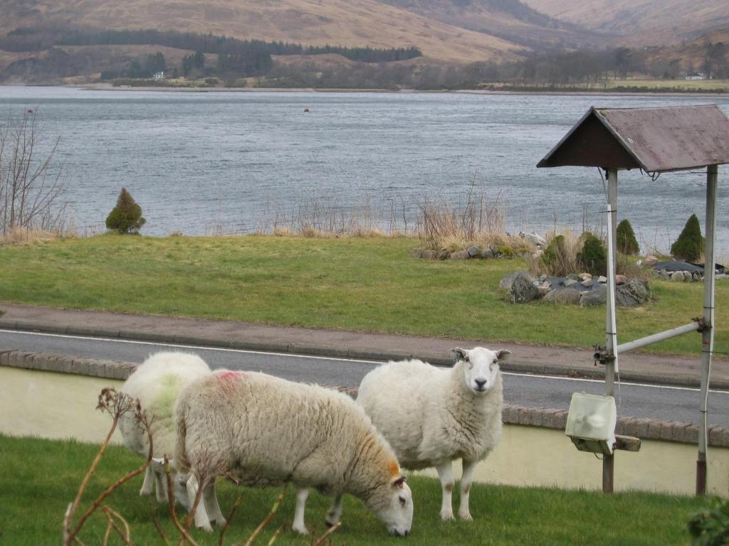Stronchreggan View Fort William