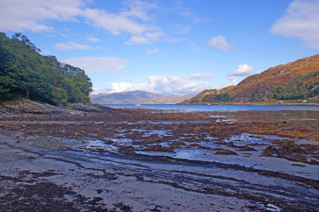 Torlundy House Guest house 4*