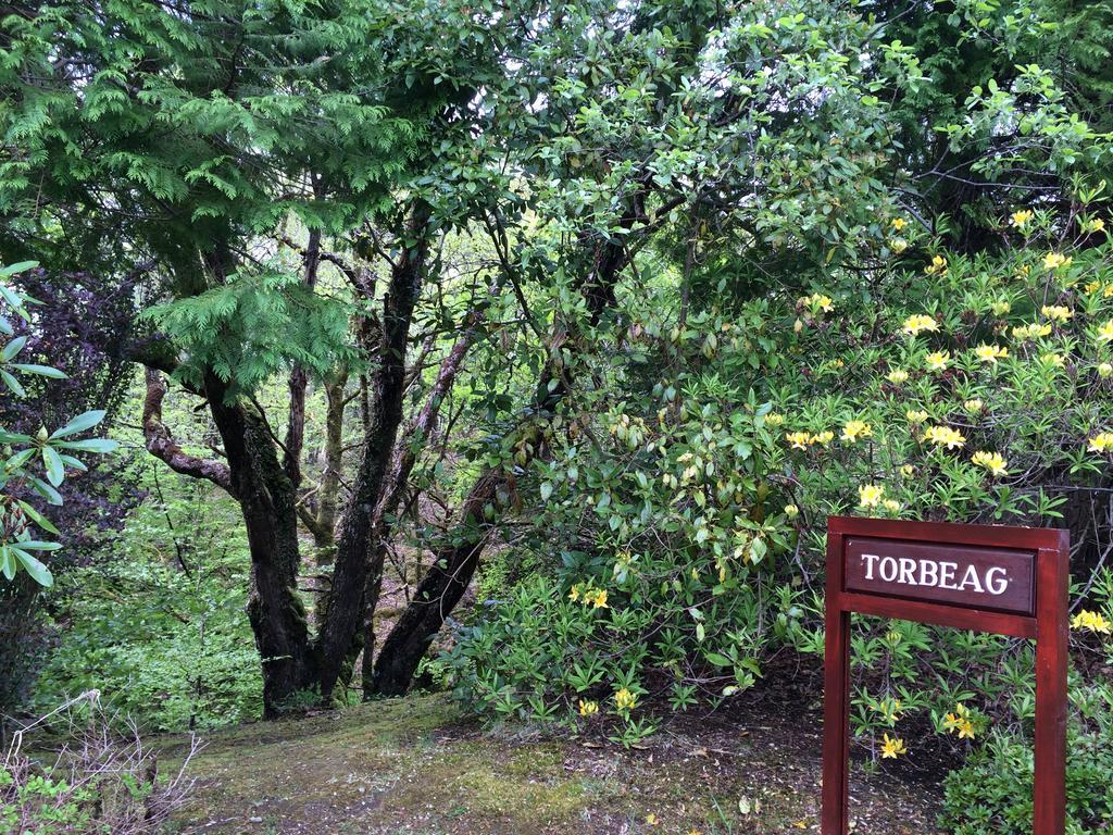 Torbeag House Bed & Breakfast *
