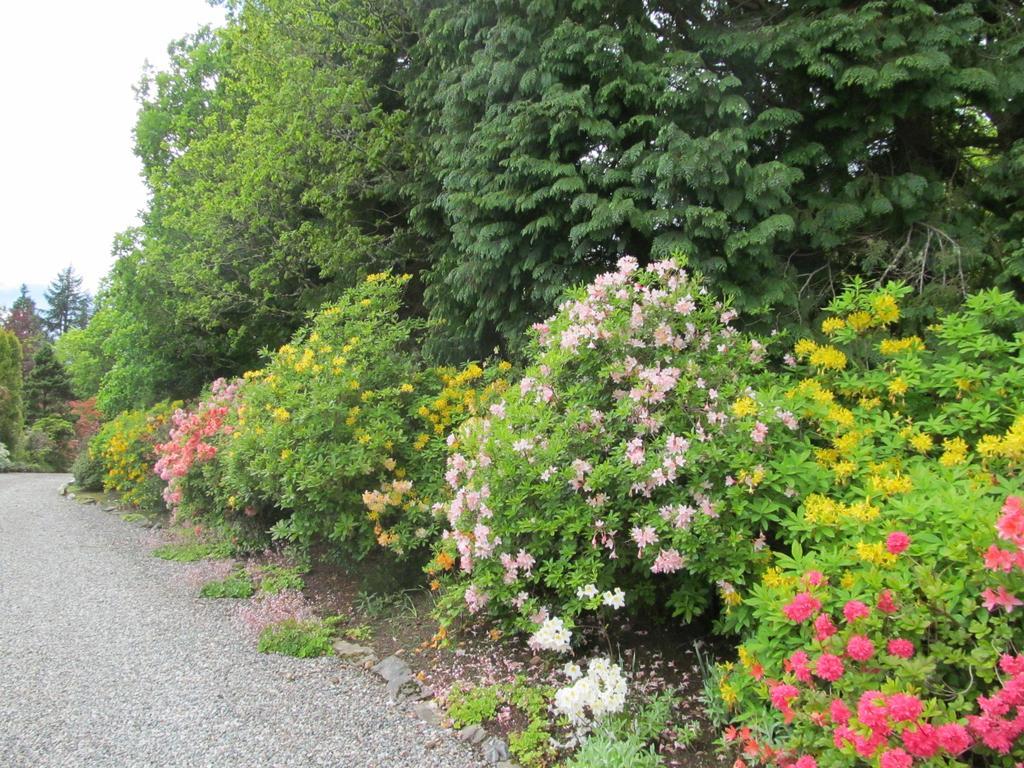 Bed & Breakfast Torbeag House