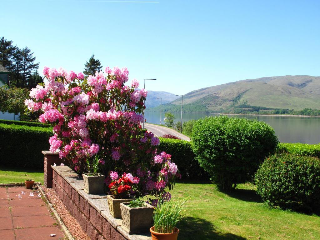 Bed & Breakfast Alba