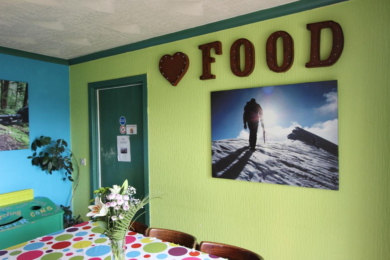 Hostel William Backpackers