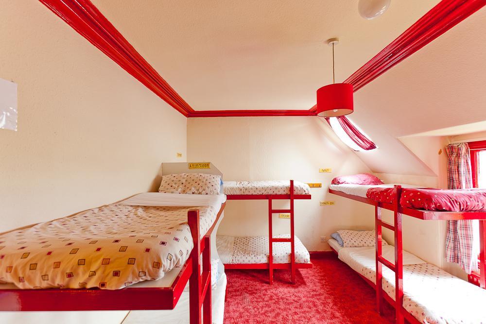 Hostel William Backpackers